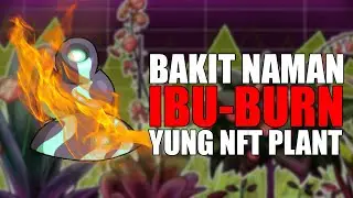 Bat' naman ibu-burn yung NFT PLANT?! #PVU #Filipino #Tagalog
