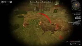 SaintGround | Играем + розыгрыши подписчикам | Stalcraft - квшка