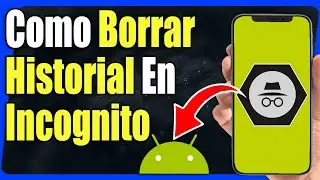 Como Borrar Historial en Modo Incognito