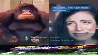 21 century humor (part 6)