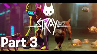 Stray | Walkthrough Gameplay | NO Commentry #stay #pcgames #gta #forzahorizon5