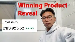 i found a untapped Winning Dropshipping Product (reveal)