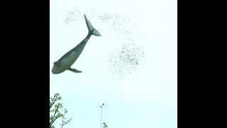 Part of the special effects of the short film 