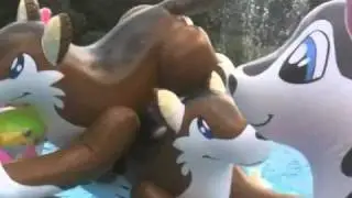 Puffypaws Pool Party