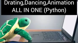 Python Turtle animation code