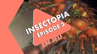 En Jeu - Insectopia 3/4