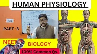 ह्यूमन फिजियोलॉजी I HUMAN PHYSIOLOGY I NEET BIOLOGY EXAM I  30 SURE 💉🩺 QS @neetbiologyspecial