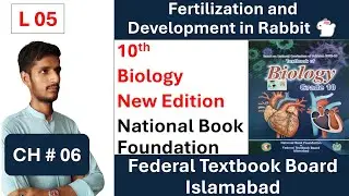 Fertilization and Development in Rabbit 🐇 | CH 06 | Biology | Class 10 | New Edition | FBISE