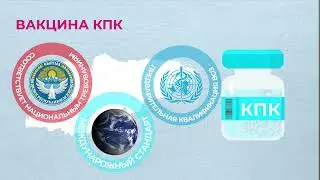 Качество и безопасность вакцины КПК