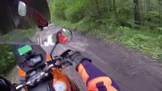 По лесу на слонах,Transalp 650, Africa Twin 750, KTM 990 Adventure Эндуро с пассажиром