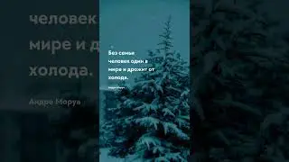 Один в мире Про жизнь - цитаты 