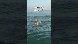 Elle pense être une pépite .. c’est un pépito 🤣 
