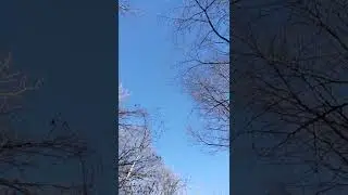 yeeting skeeting