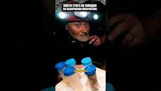 Это открытие удивило всех учёных по всему миру