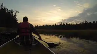 Algonquin Trip - 2020
