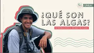 ¿Qué son las ALGAS? - INTRODUCCIÓN AL MUNDO DE LAS  ALGAS;  MÓDULO 01: AULA 01