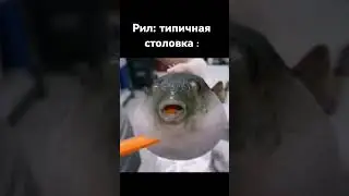 покойся с миром рыба фугу🥀 
