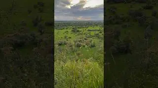 Поход выходного дня 🏕️