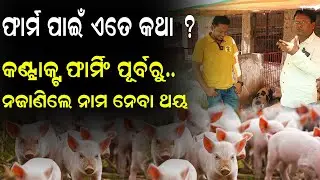 ଫାର୍ମ ପାଇଁ  କିଛି ଅଜଣା କଥା || How To Start Pig Farm In Odisha