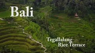 Drone in Bali - Tegallalang Rice Terrace