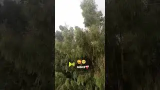 Awesome weather ☁️