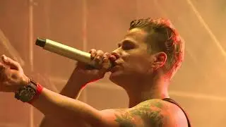 Amatory - Другие