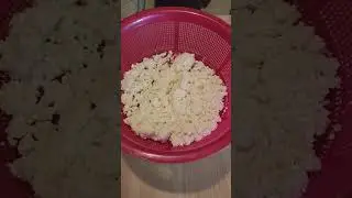 Домашний творог из козьего молока!!! Рецепт, Реальный!!!