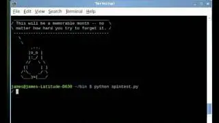Spinning Python slash