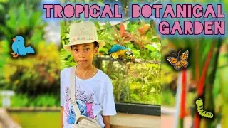 Exploring a tropical Botanical Garden 🦥🦩