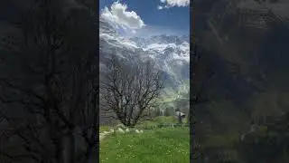 #switzerland