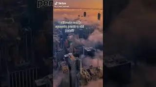 #f
