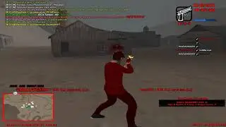 codat.mp4