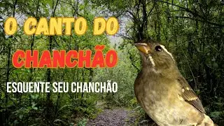 Canto do Chanchão (Pixoxó) Gravado ao vivo