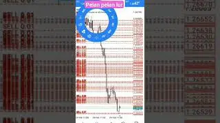 profit yukk 