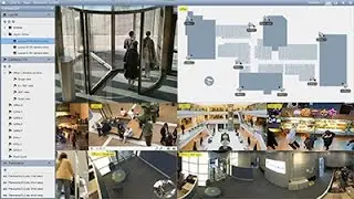 VMS Display Options