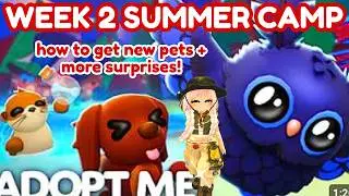 🔴 How To Get Sea Otters, Irish Setter, & Stygian Owl - WEEK 2 PETS in Summer Camp! 
