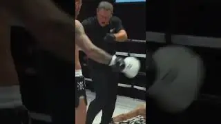 BULGARIAN BEAST KNOCKOUT DANI ILIEV #kickboxing #knockout #mma