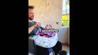 🌙👶 The Hummingbird That Brought Back Her Mother's Love