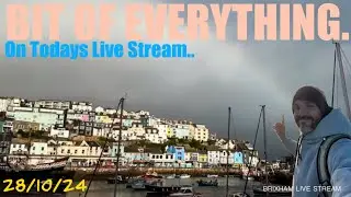 28/10/24 ALL SORTS IN THE BAY! #devon