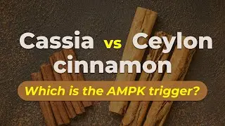 Why Ceylon Cinnamon is the key ingredient for blood sugar support? | Nation Health MD #gluco24