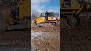6 марта 2024 г.