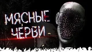 МЯСНЫЕ ЧЕРВИ | Деревня Лихо 3 серия | Страшная история