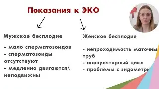 Что такое ЭКО?