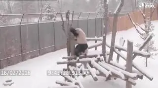 инстинкт самосохранения