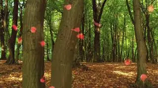 Обалденная музыка. Осеннее настроение.