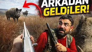 Domuz Avı Ortalığı Karıştırdı! 😱 Daha Ördek Avına Geçmeden Kamışlıkta Burun Buruna