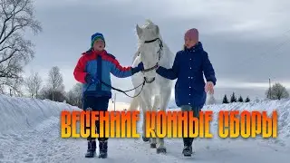 Оживление в деревне: весенние конные сборы