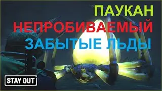 ПАУКАН + ЗАБЫТЫЕ ЛЬДЫ  Stay out / stalker online / EU1