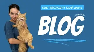 Один день с ветеринарным врачом!