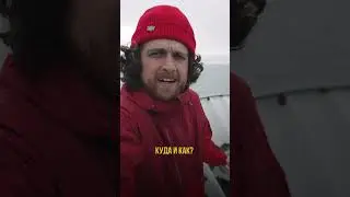 Встретили белого медведя в океане  #путешествия